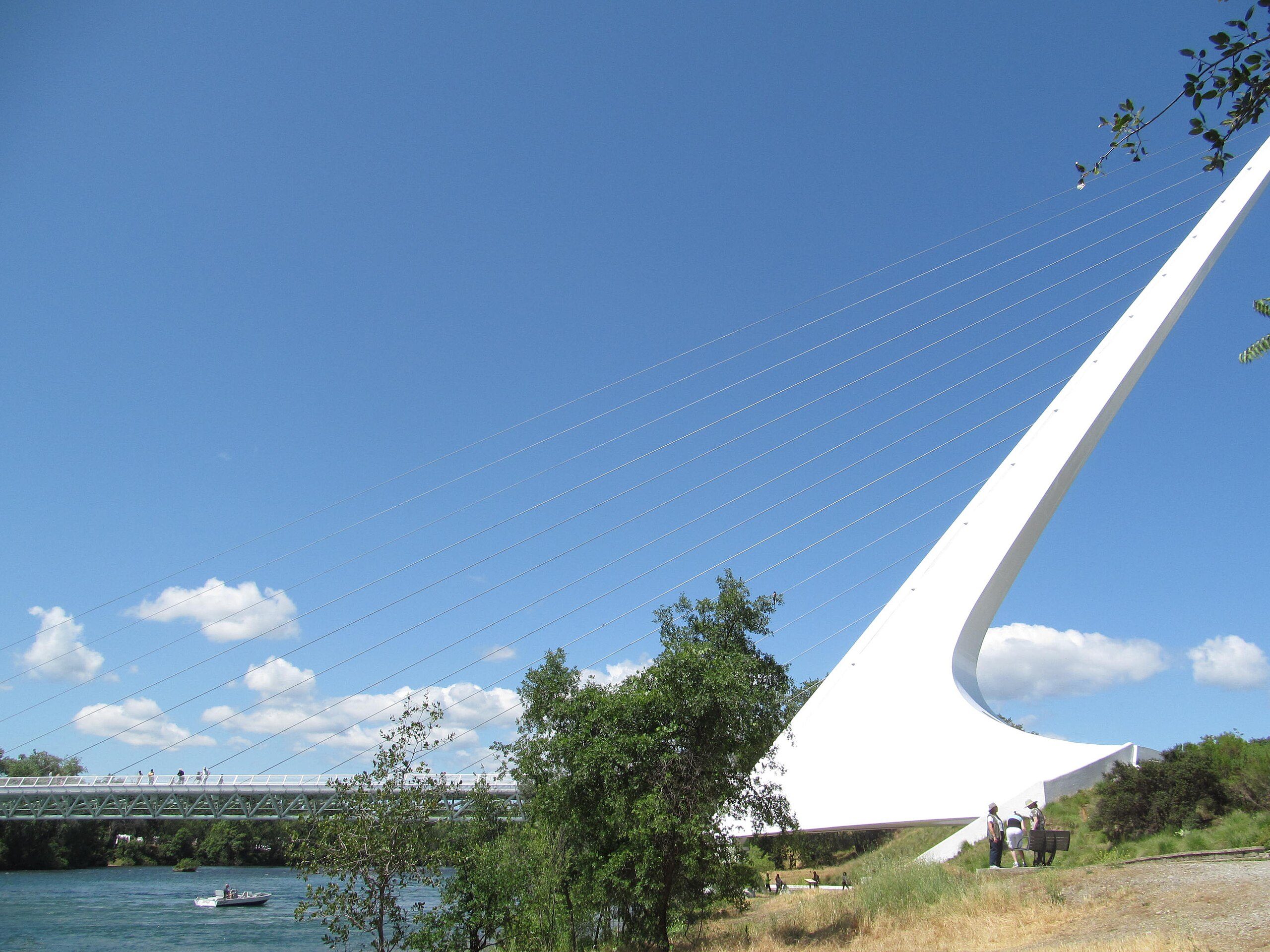 The Sundial Bridge at Turtle Bay in Redding, its white cable tower rising over a vivid blue sky